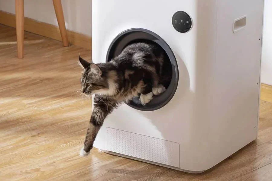 auto cleaning cat litter box