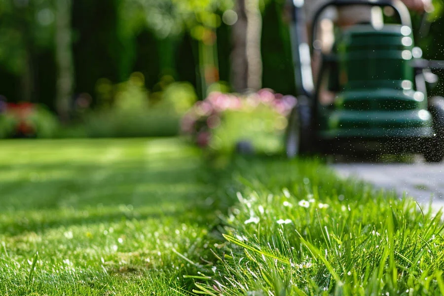 top rated electric mowers