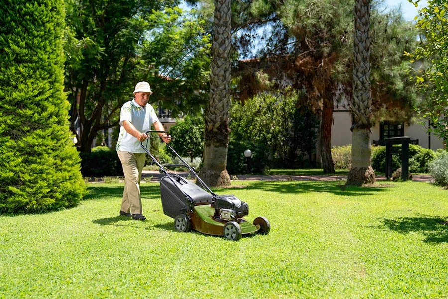 shop electric lawn mowers